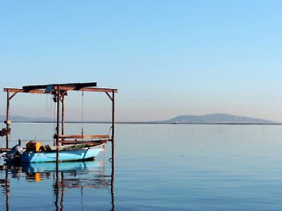 Others