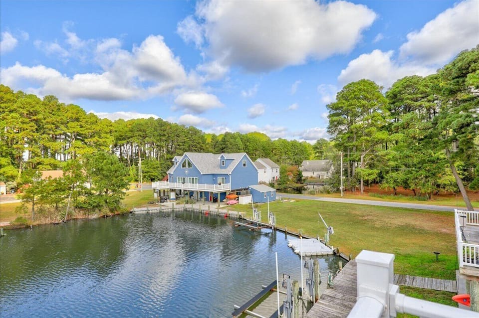 Watch Herons, Eagle, Egrets, and Deer right from your Deck!