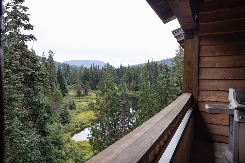 BBQ and View from Balcony