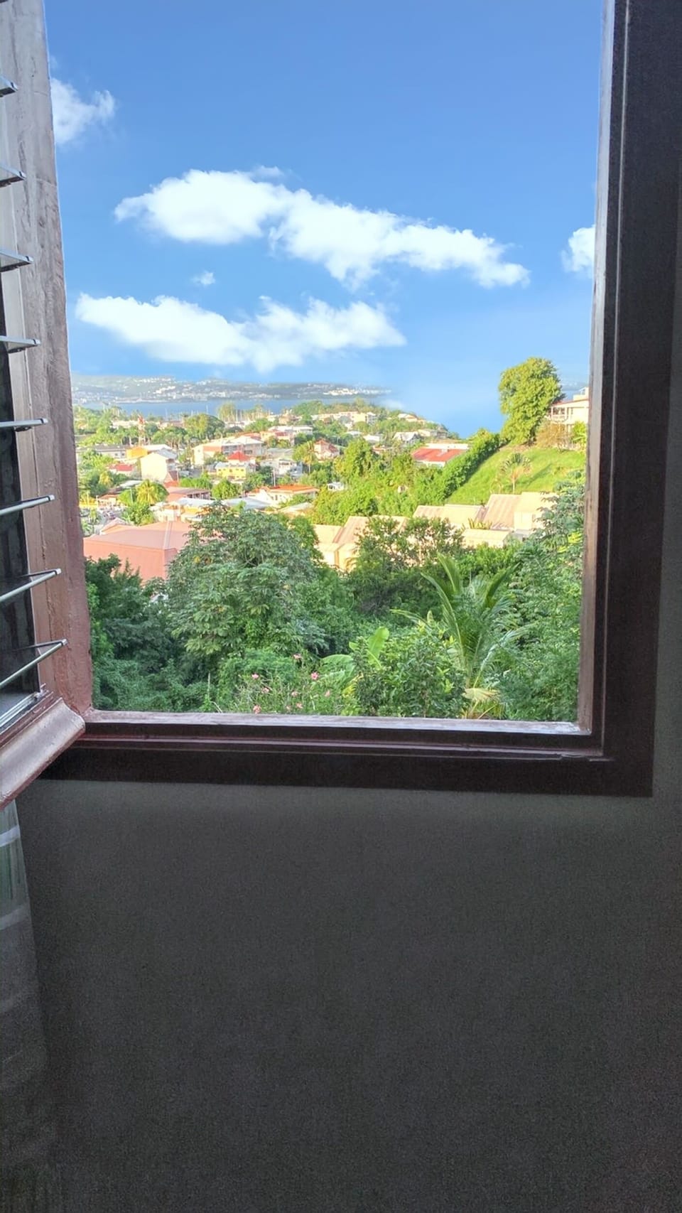 Areal view