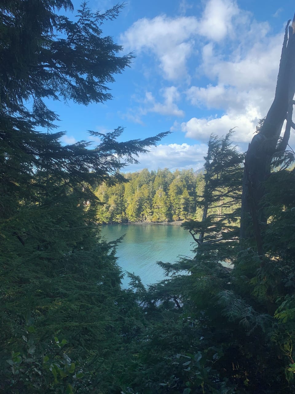 Lighthouse loop Trail