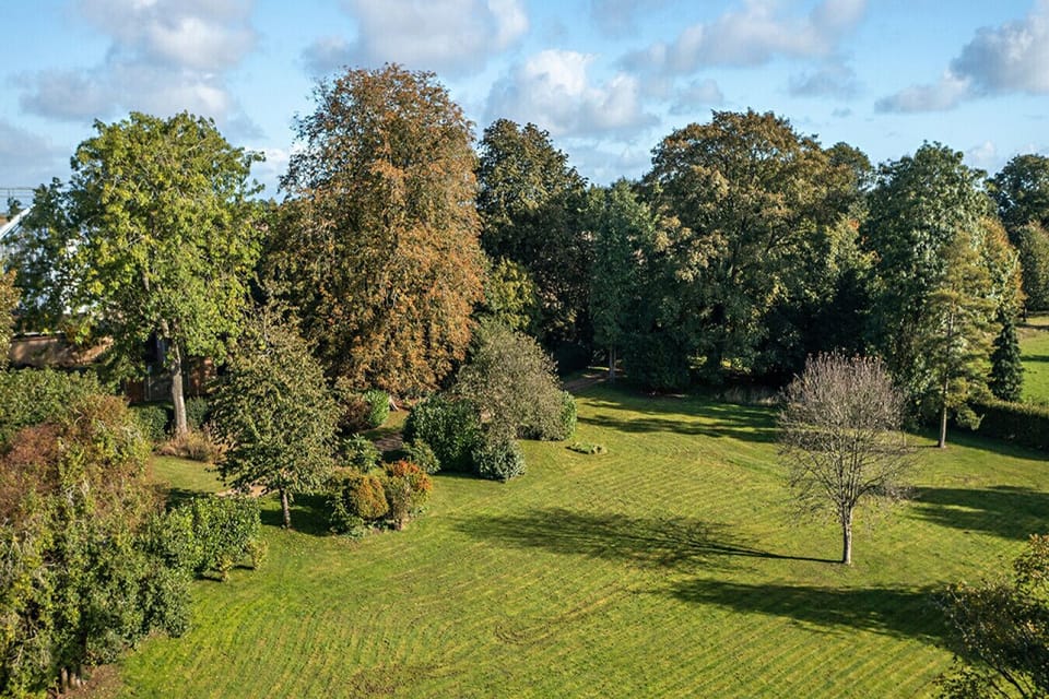 Garden view