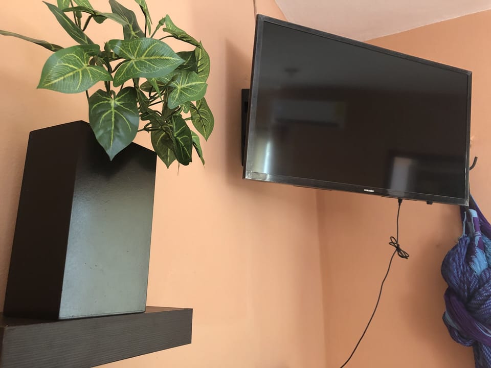 Television