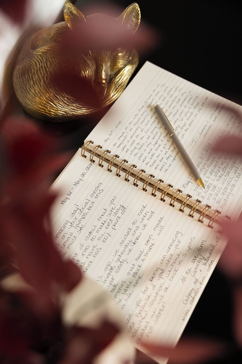 Guest book ♥