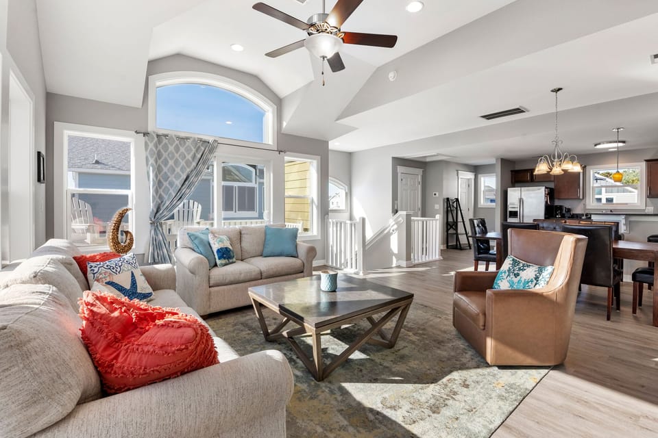 CB40: Green Sea Turtle | Top Level Living Area