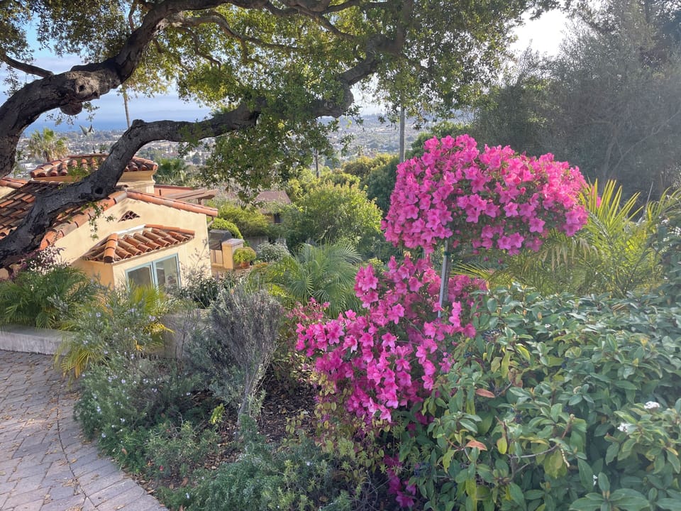 Front yard