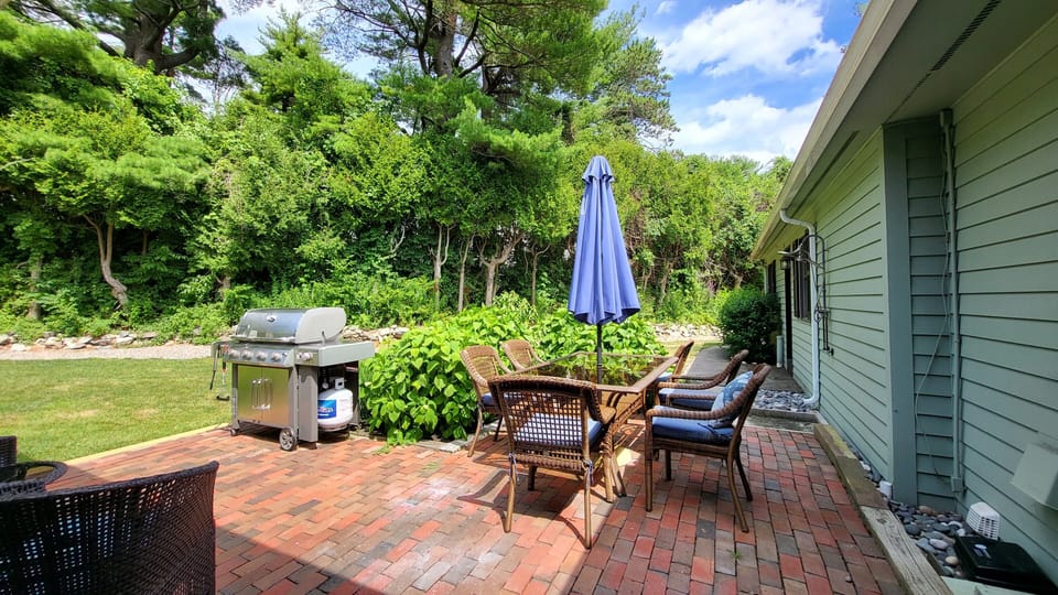 Back patio accessed off the sunroom