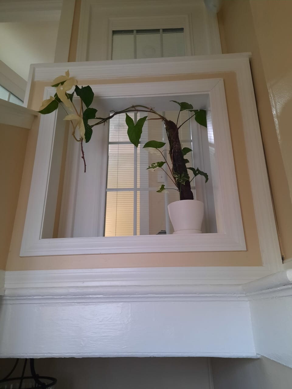 Interior detail
