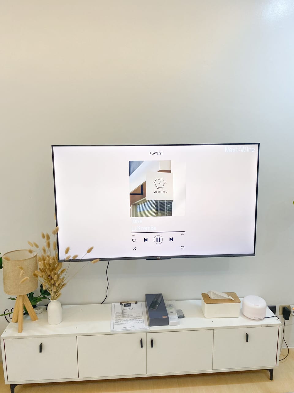 Television