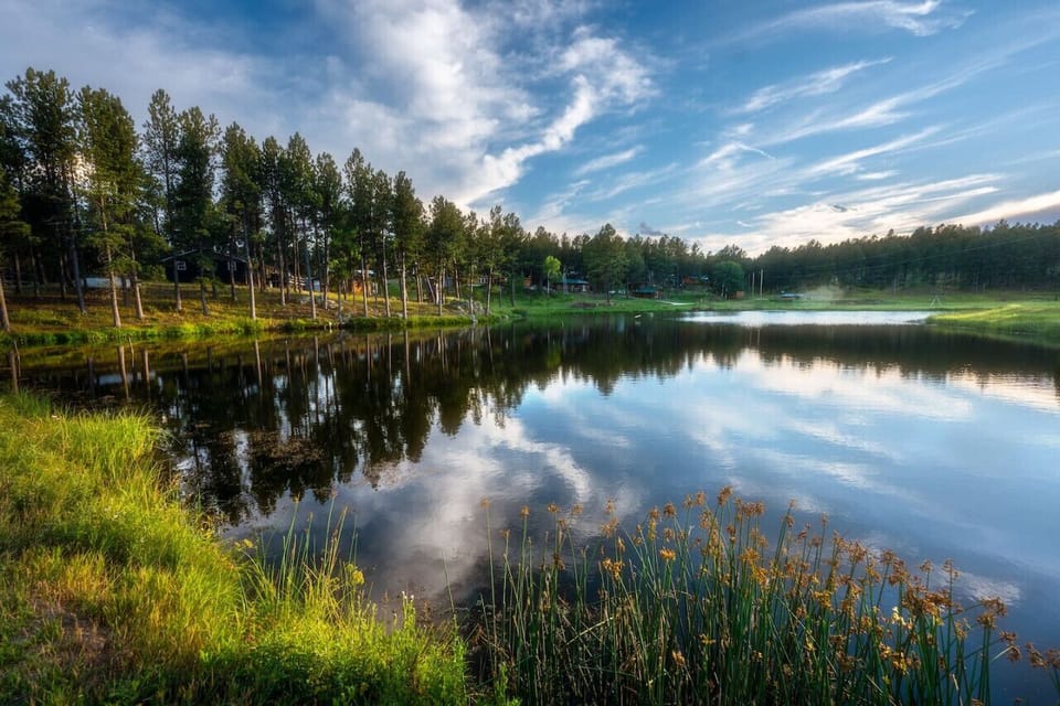 The bungalows are spread across 13 acres of divine forested landscape...