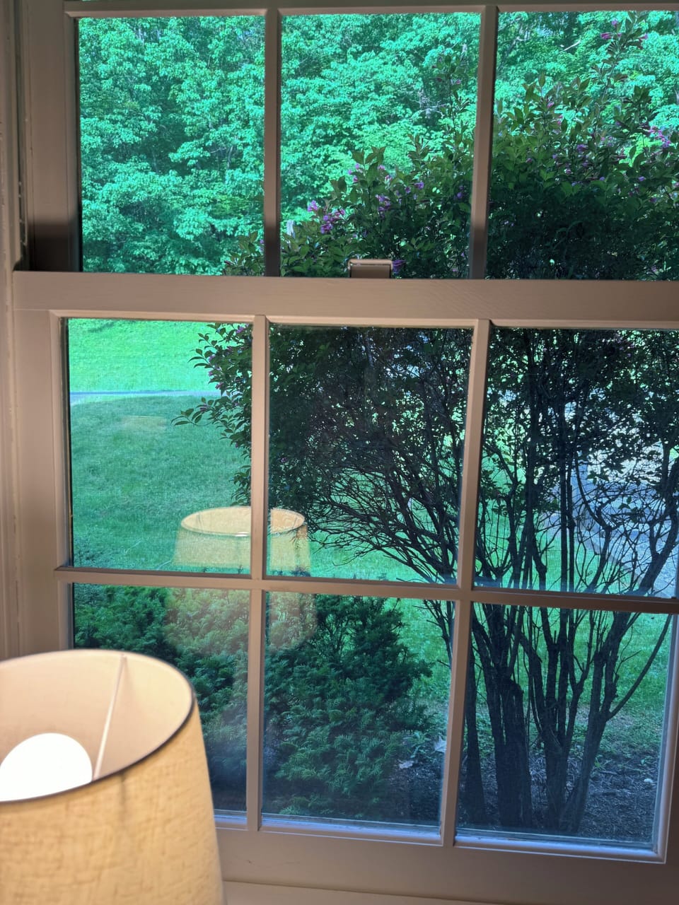 View from bedroom 3