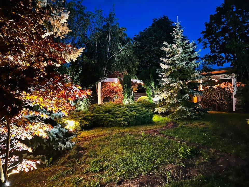 Garden at night is a magnificent spectacle, particularly in the summer.