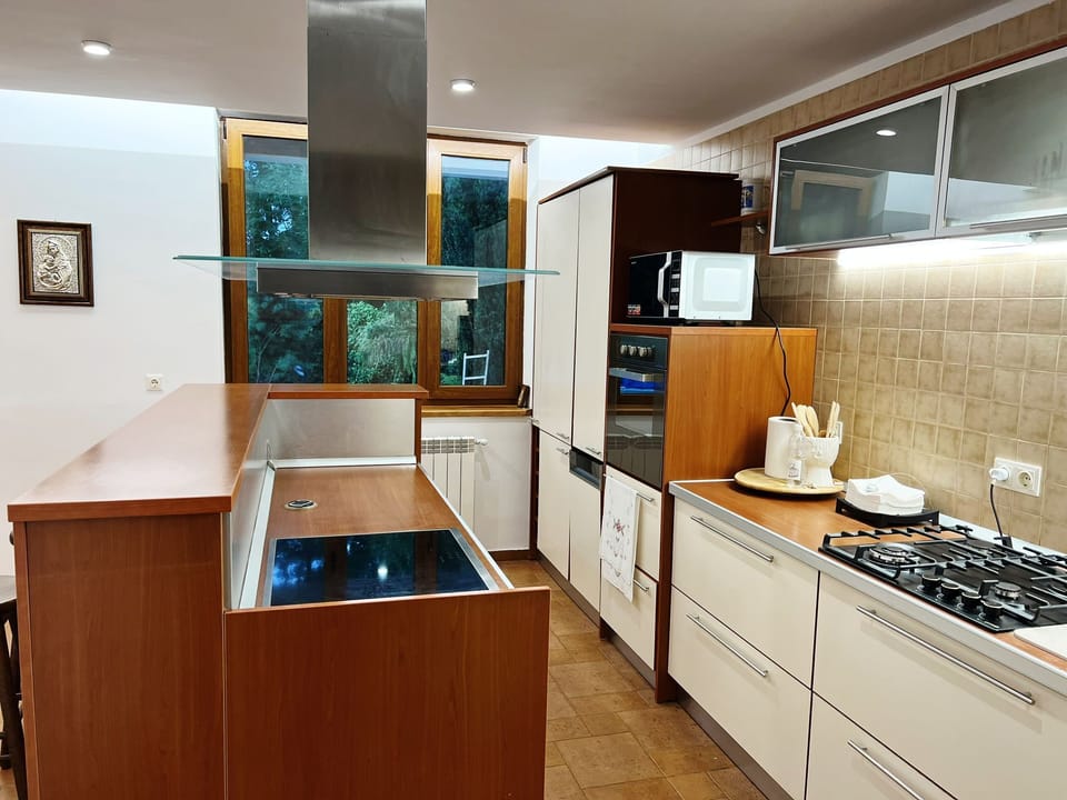 Kitchen with gas burner as well as an induction hob, oven, microwave, fridge etc