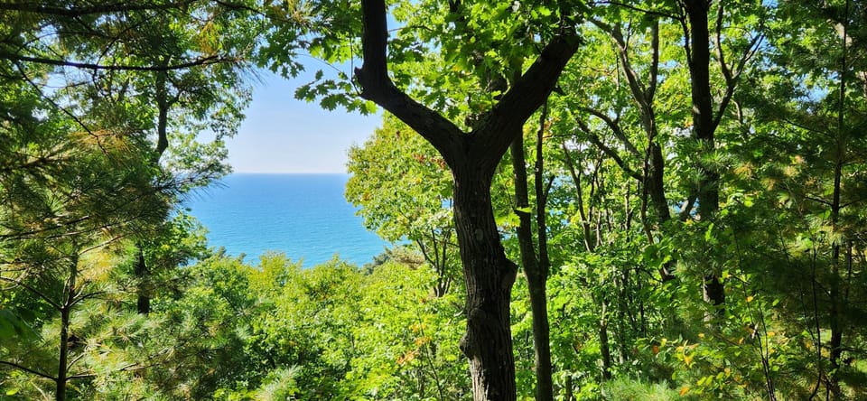 Lake Michigan in the distance.