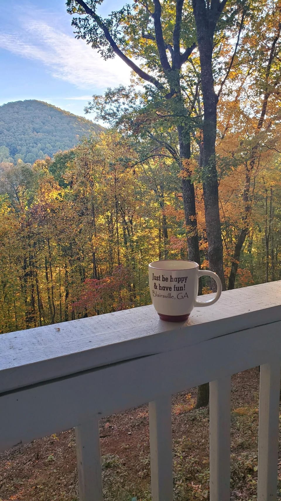 Mountain views from porch