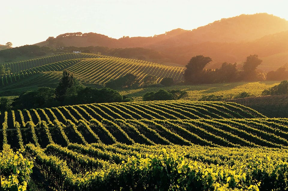 Immerse yourself in wine country and visit some of the 400 winery tasting rooms