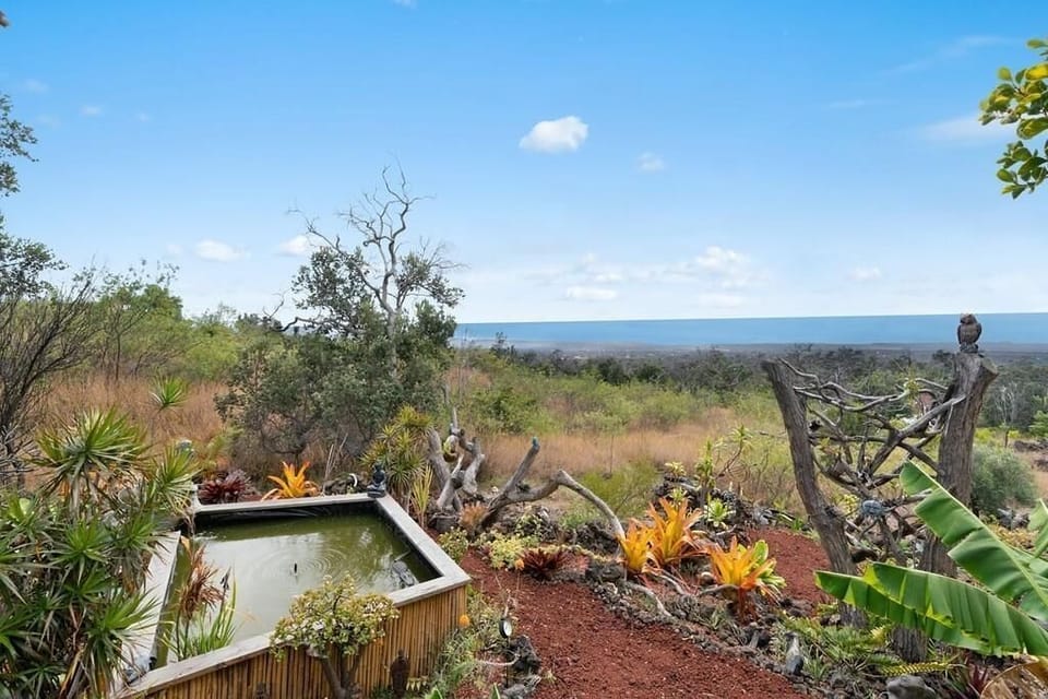 Koi pond, orchids and view to the ocean 