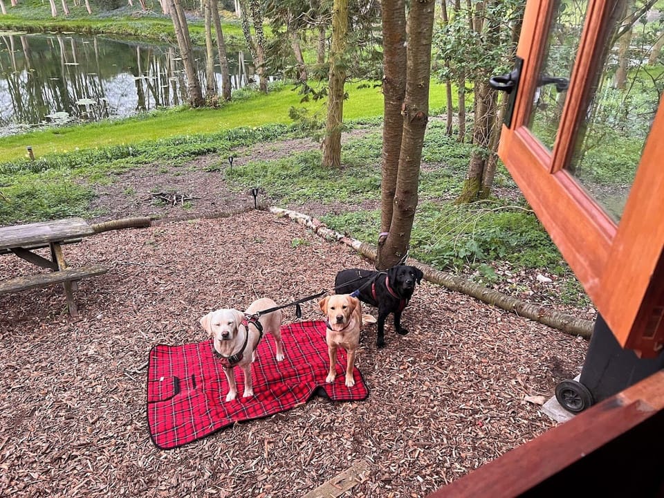 Dog Friendly Shepherds Hut overlooking a natural lake in North Norfolk 