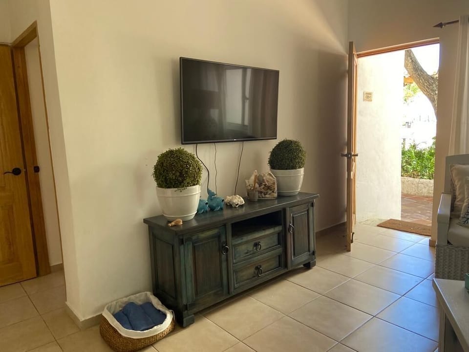 TV