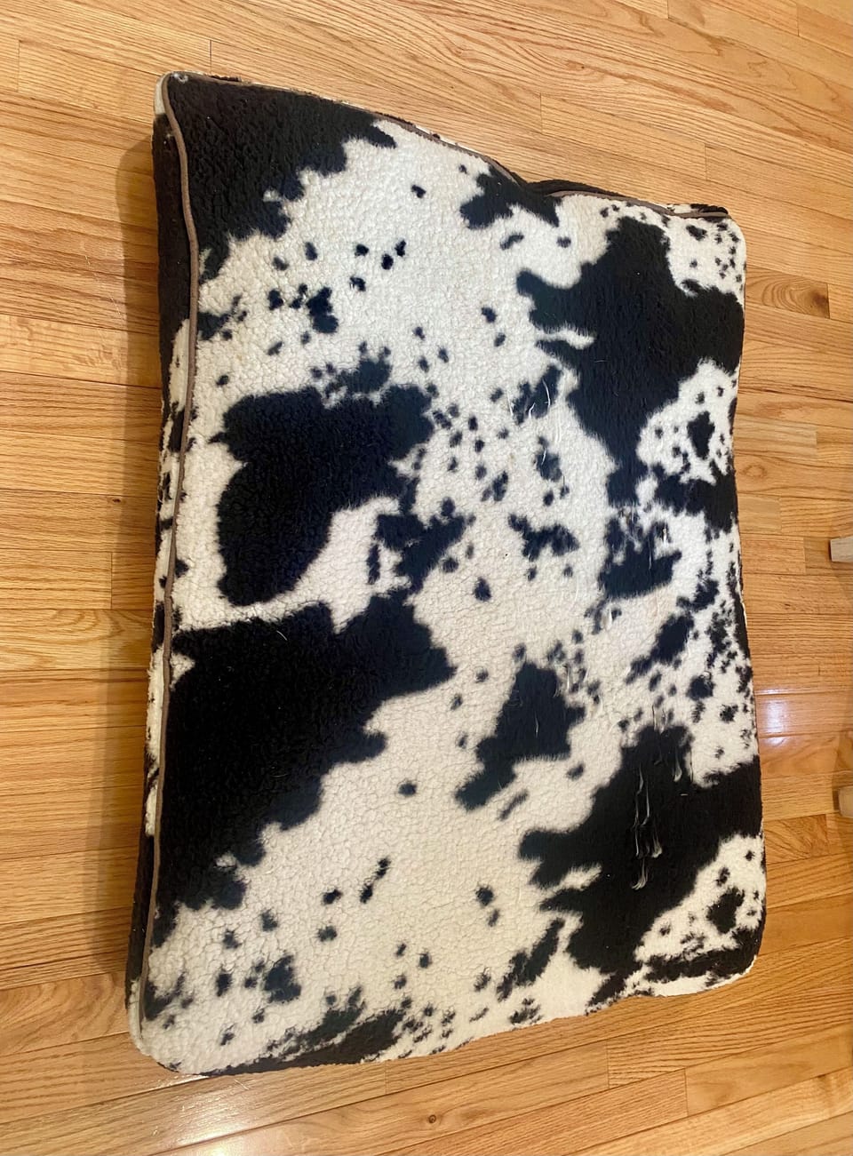 Dog bed.