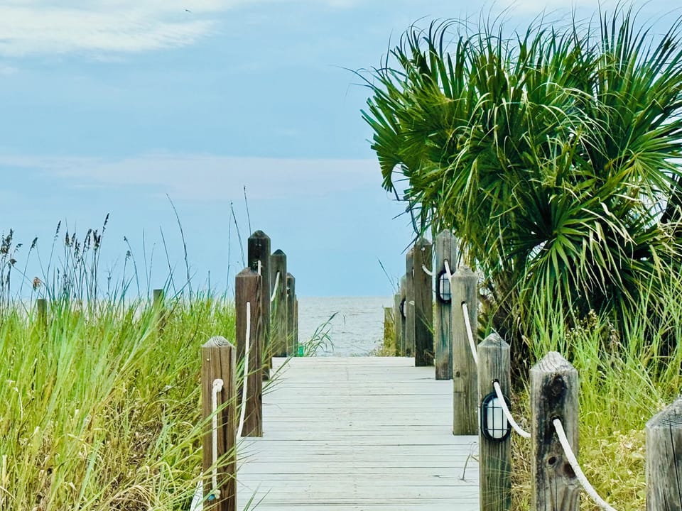 Boardwalk 