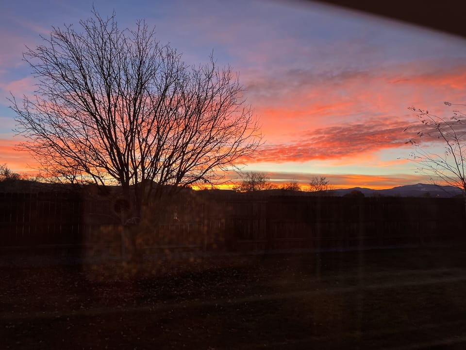 View from property