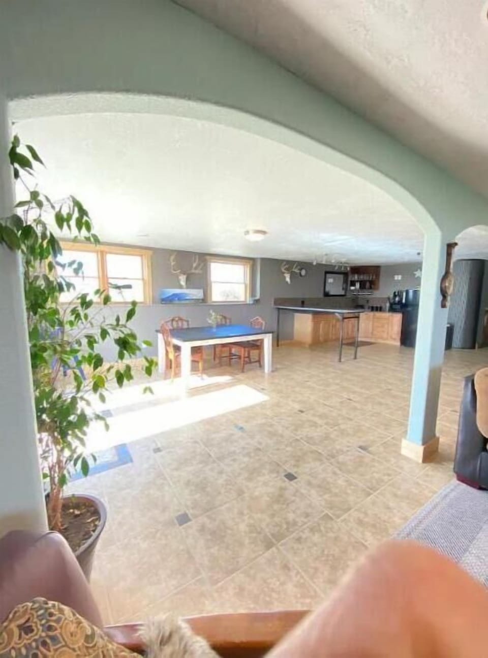 Living room, Dining Room & Kitchenette