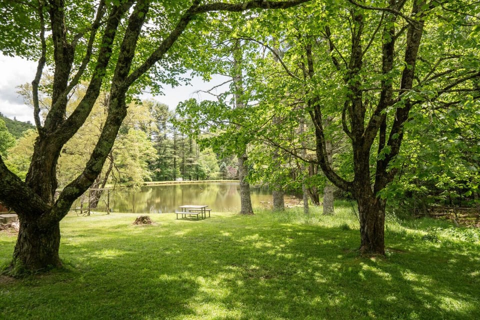 Picnic by the Pond...