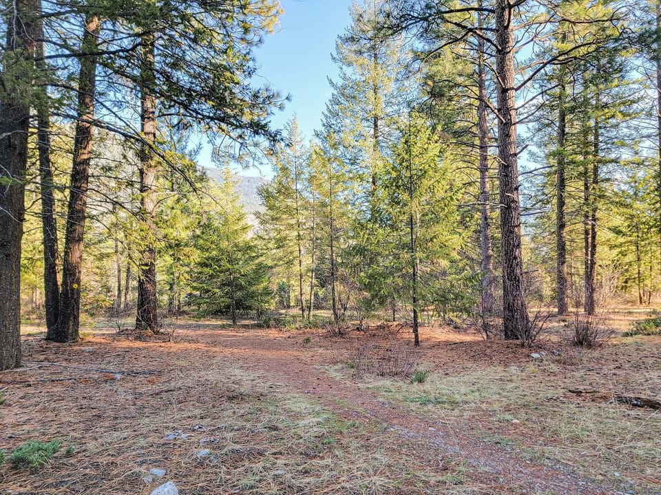 trail by the cabin
