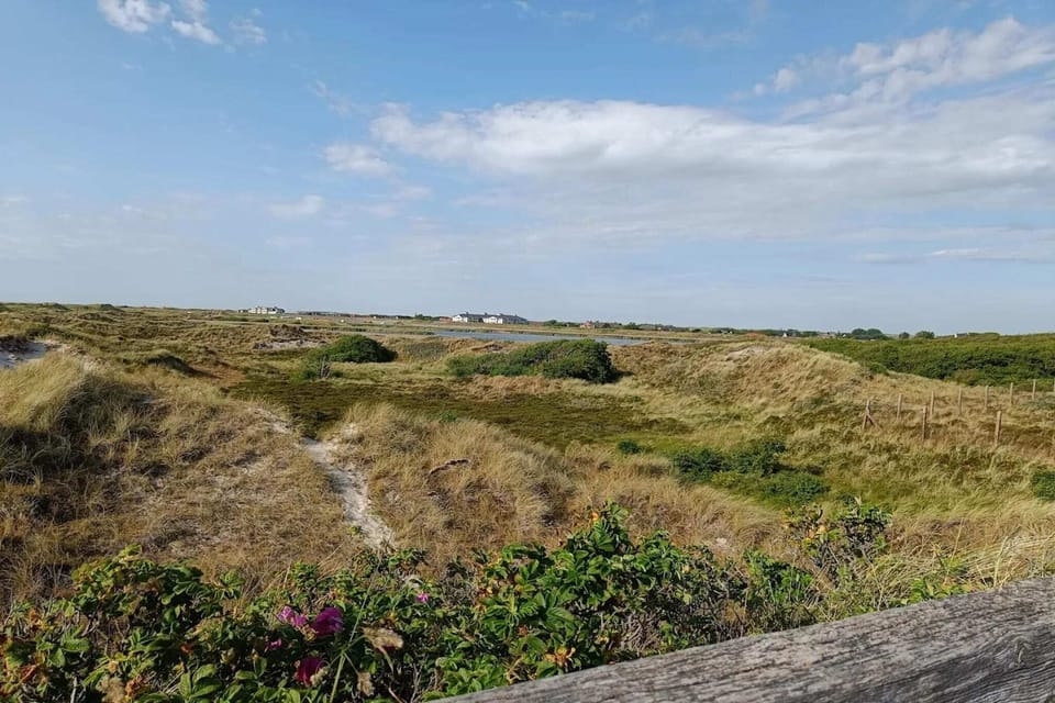 Surroundings [summer] (1-5 km)