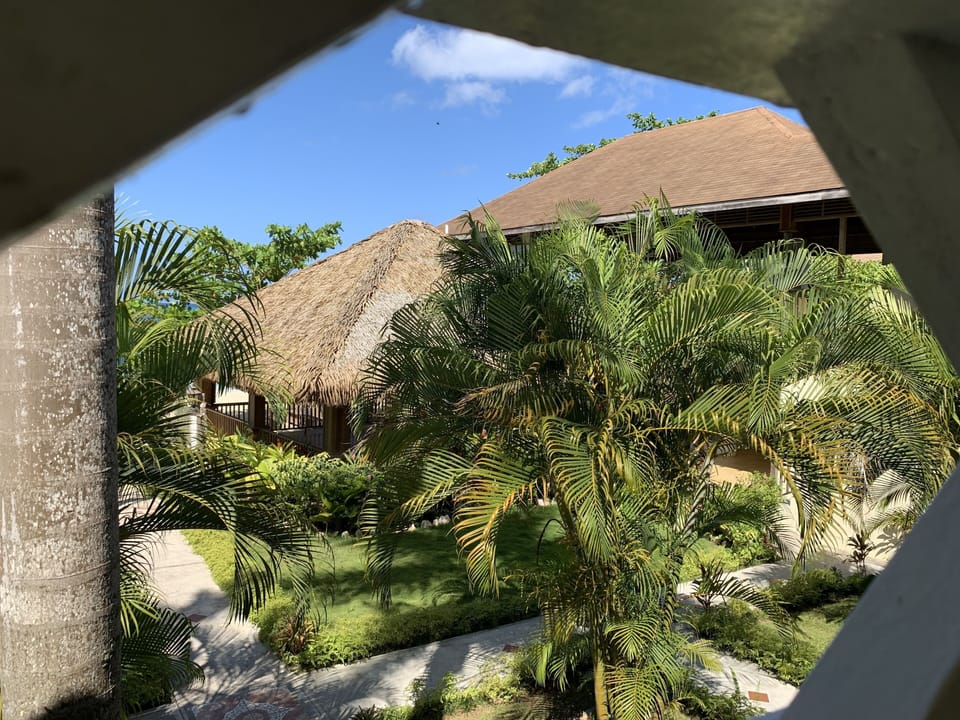 House, Garden, Nature, Outdoors, Shelter