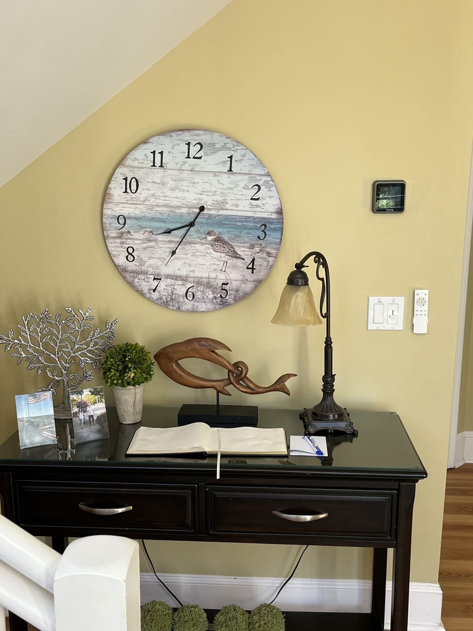 One of the 29 Sandpipers ...