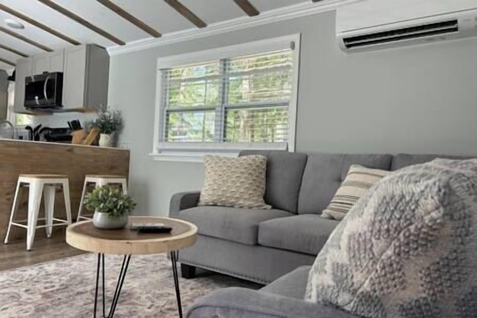 Living Room and Bar Seating