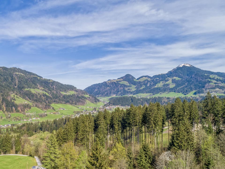 Region [summer] (>5 km)