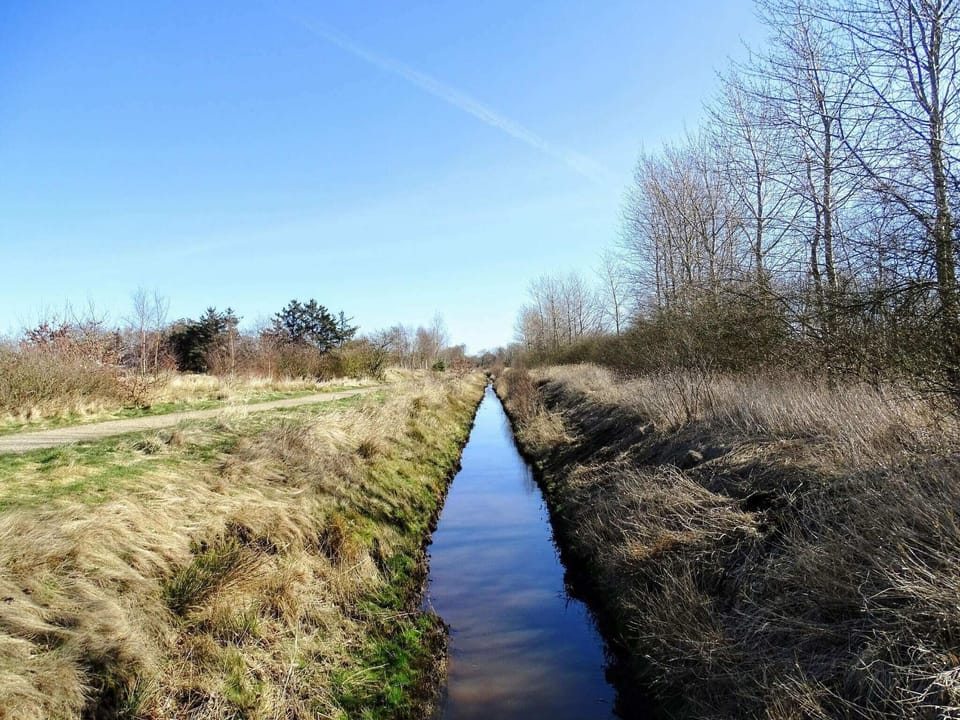 Water view
