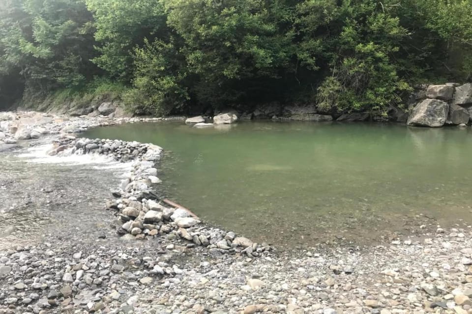 Region [summer] (>5 km)