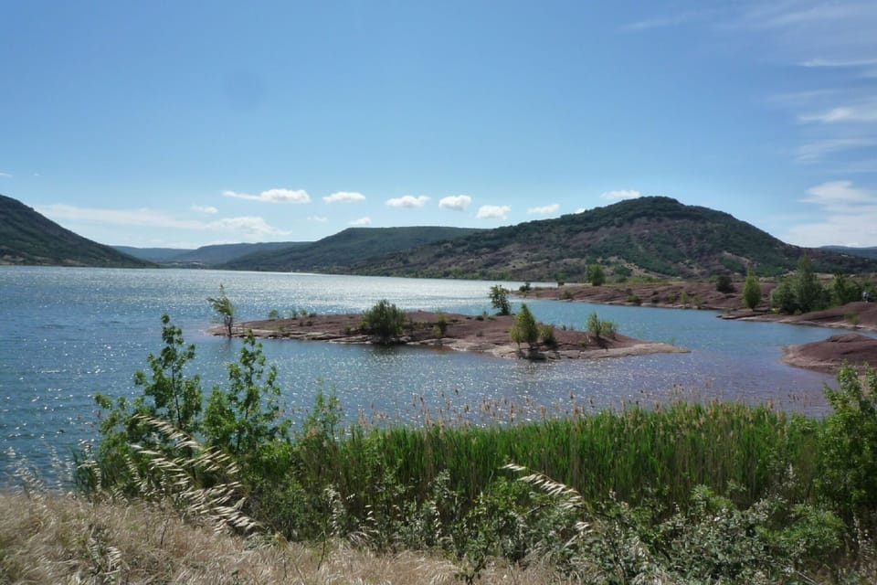 Region [summer] (>5 km)