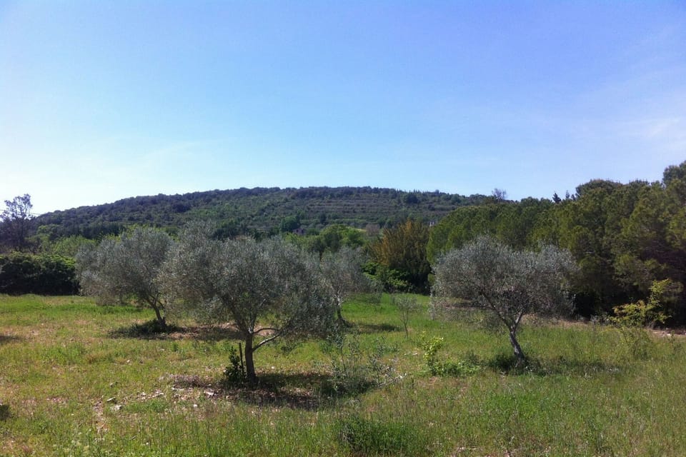 Region [summer] (>5 km)