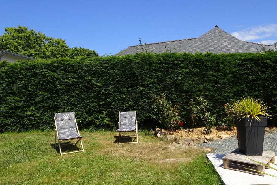 Garden [summer]