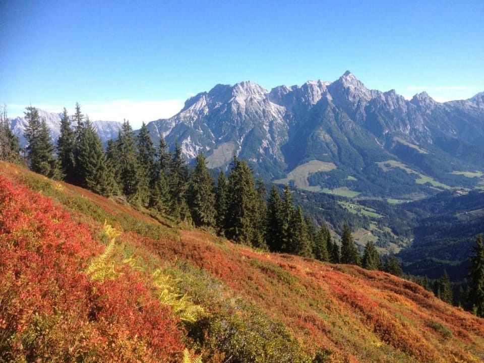 Region [summer] (>5 km)
