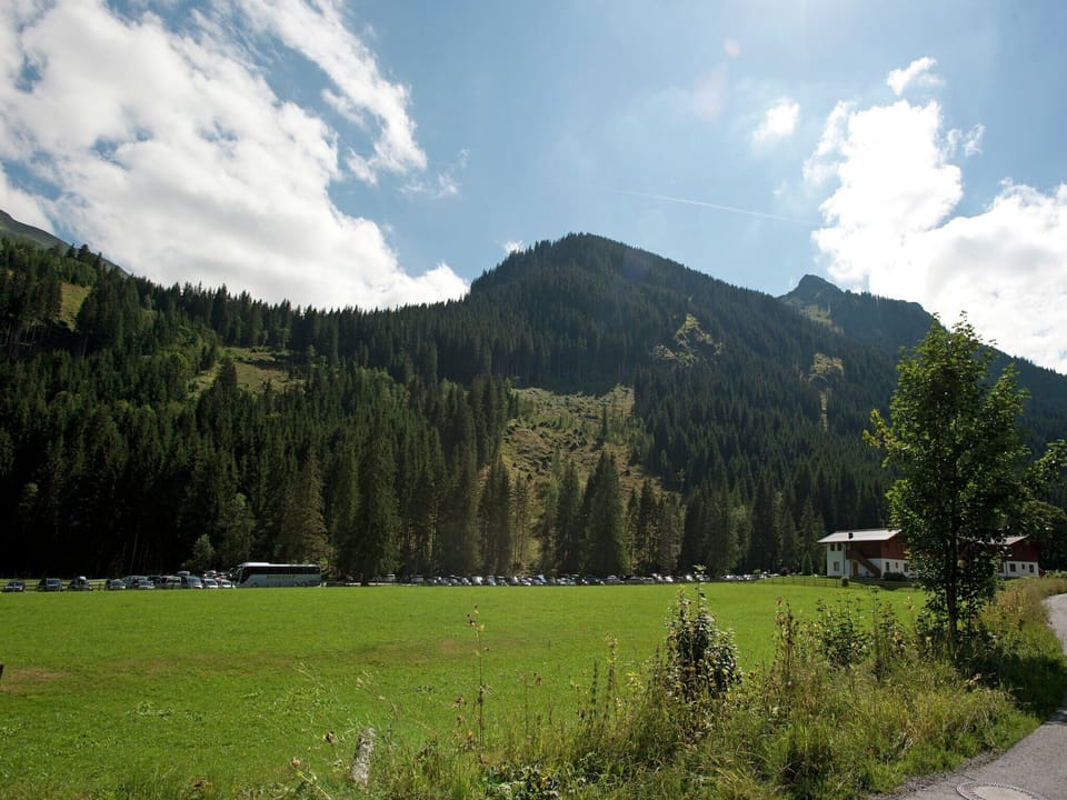 View from Holiday Home [summer]