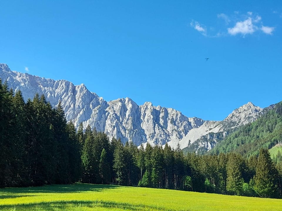 View from Holiday Home [summer]