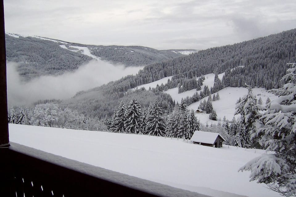 View from Holiday Home [winter]