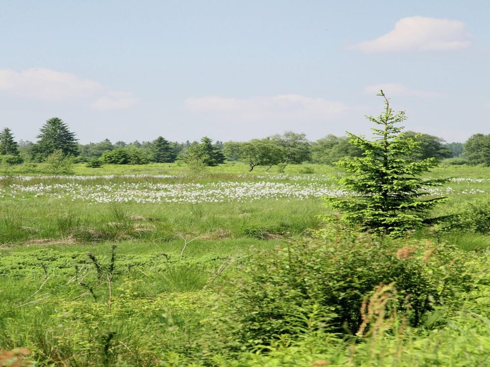 Surroundings [summer] (1-5 km)