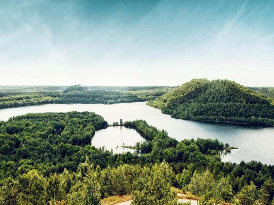 Region [summer] (>5 km)