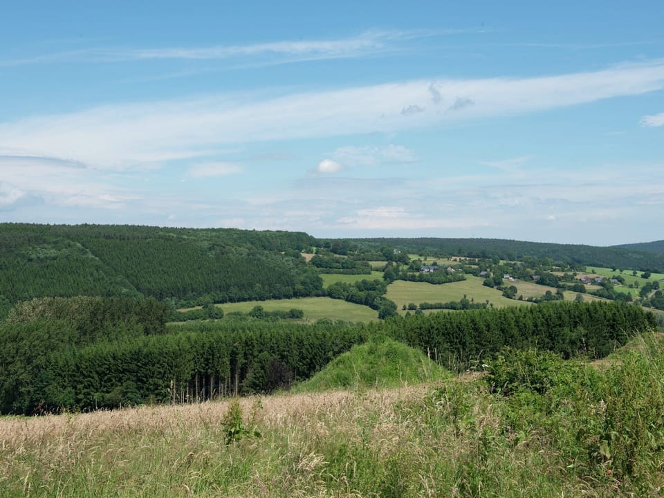 Immediate Surroundings [summer] (<1 km)