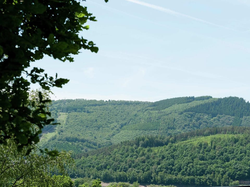Immediate Surroundings [summer] (<1 km)