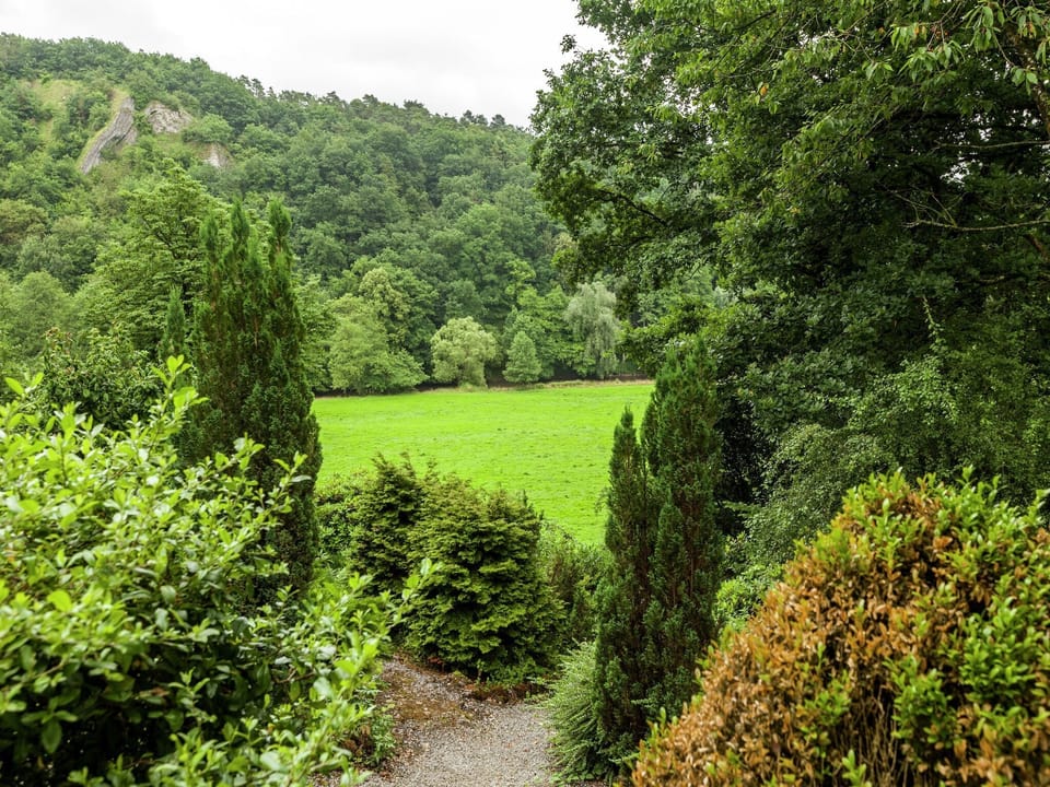 Surroundings [summer] (1-5 km)
