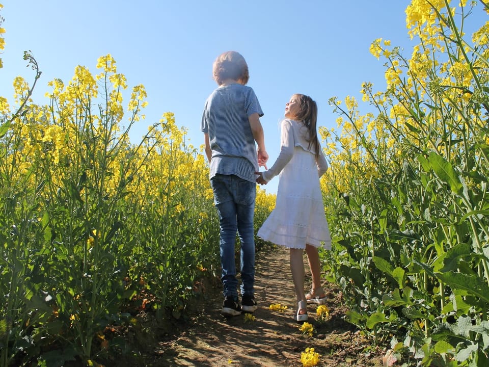 Surroundings [summer] (1-5 km)