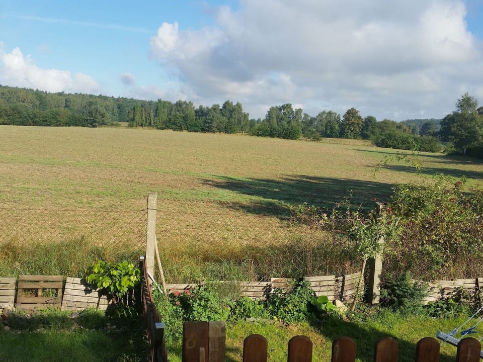 View from Holiday Home [summer]